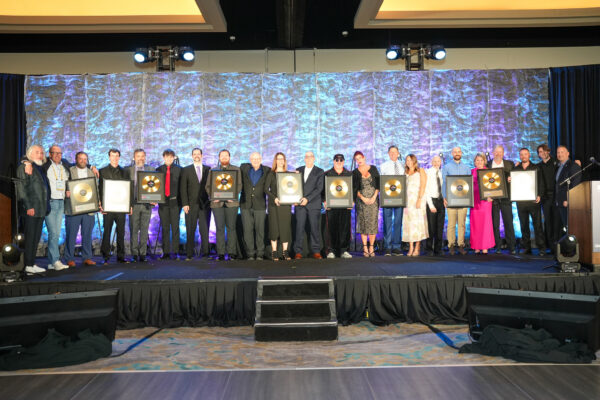 Gold and Platinum Award Winners 2025